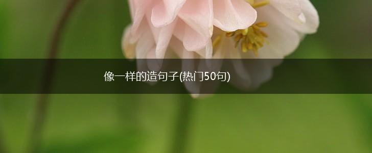 像一样的造句子(热门50句),第1张