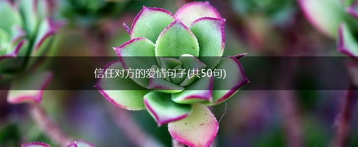 信任对方的爱情句子(共50句),第1张