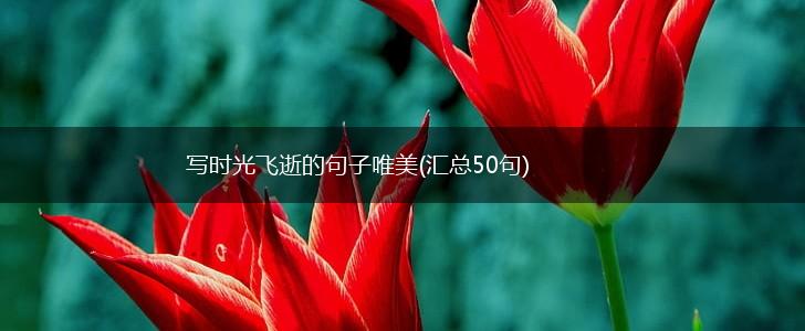 写时光飞逝的句子唯美(汇总50句),第1张