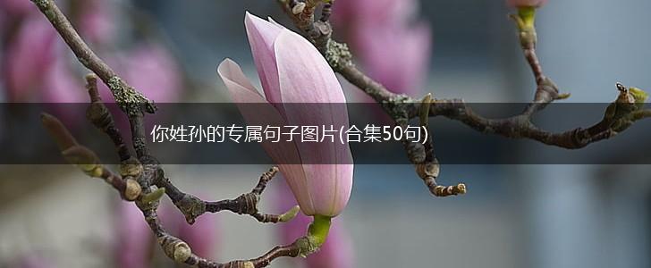 你姓孙的专属句子图片(合集50句),第1张