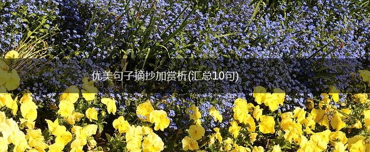 优美句子摘抄加赏析(汇总10句),第1张