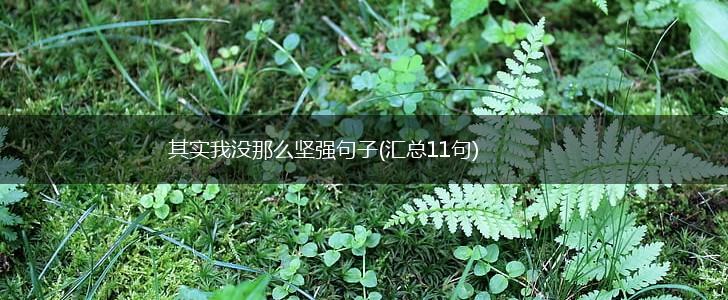 其实我没那么坚强句子(汇总11句),第1张