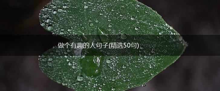 做个有趣的人句子(精选50句),第1张