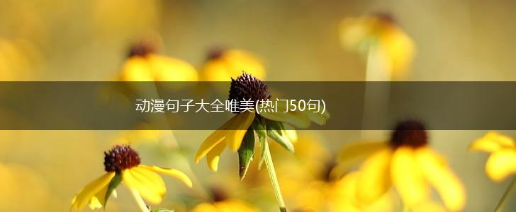 动漫句子大全唯美(热门50句),第1张