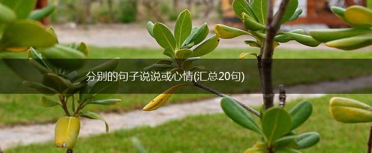 分别的句子说说或心情(汇总20句),第1张