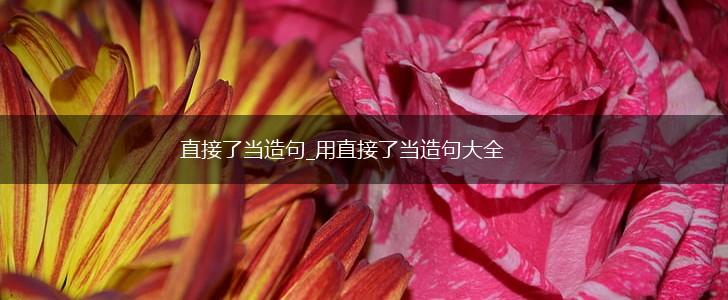 直接了当造句_用直接了当造句大全,第1张