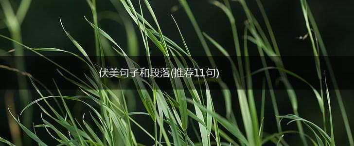 伏美句子和段落(推荐11句),第1张