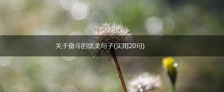 关于奋斗的优美句子(实用20句),第1张