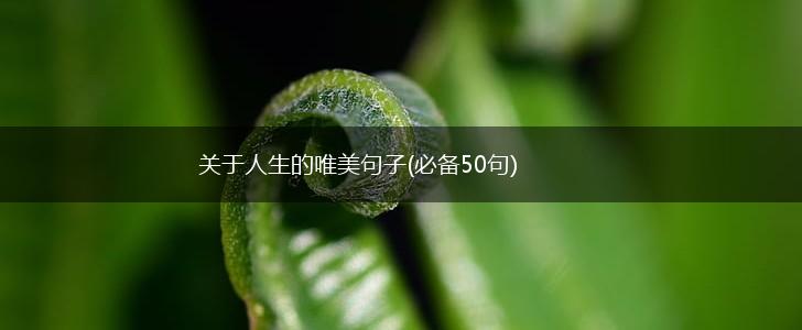 关于人生的唯美句子(必备50句),第1张