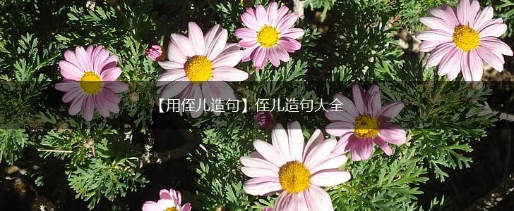 【用侄儿造句】侄儿造句大全,第1张