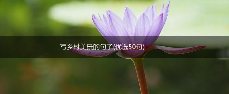写乡村美景的句子(优选50句),第1张