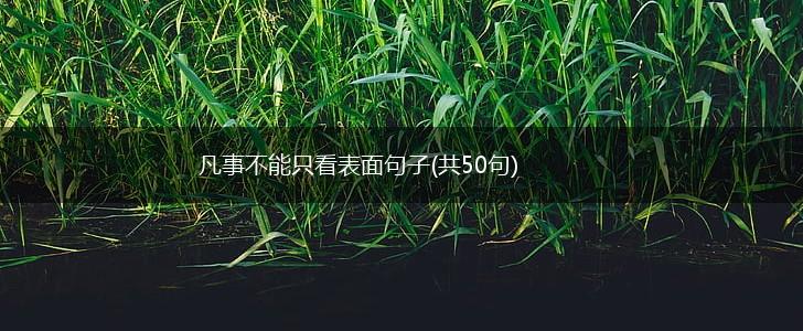 凡事不能只看表面句子(共50句),第1张