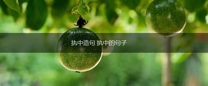 执中造句 执中的句子,第1张