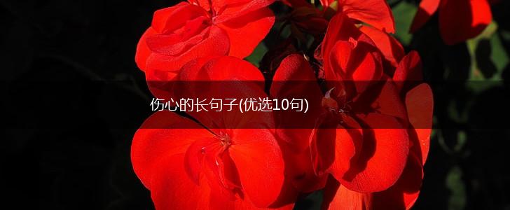 伤心的长句子(优选10句),第1张