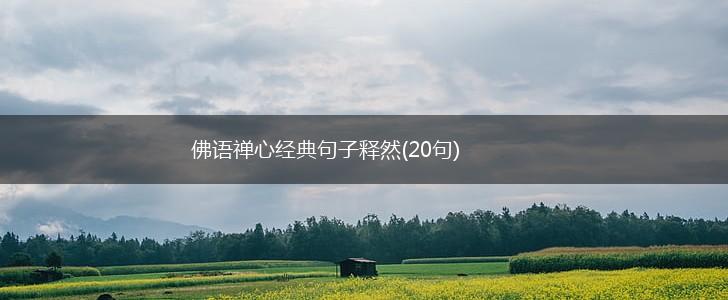 佛语禅心经典句子释然(20句),第1张