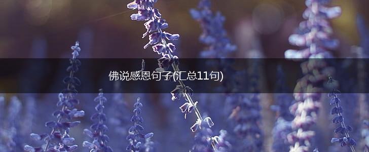 佛说感恩句子(汇总11句),第1张