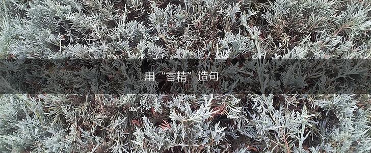 用“香精”造句,第1张