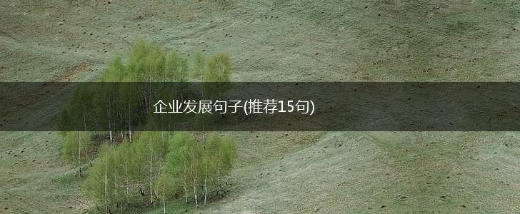 企业发展句子(推荐15句),第1张