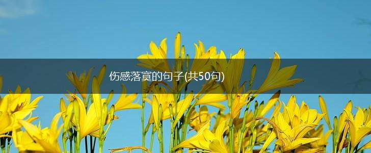 伤感落寞的句子(共50句),第1张