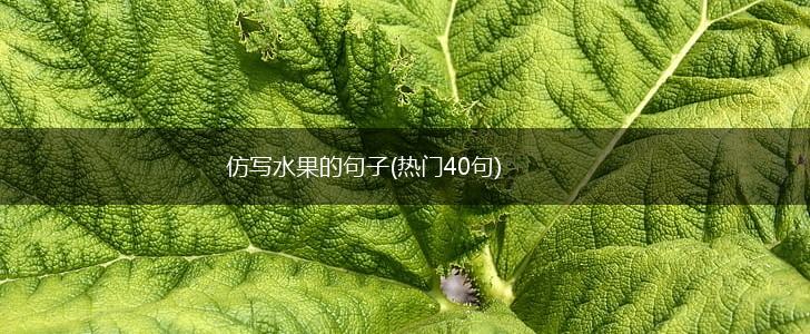 仿写水果的句子(热门40句),第1张