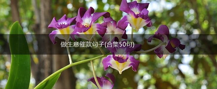 做生意催款句子(合集50句),第1张