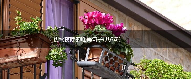 初秋夜晚的唯美句子(共6句),第1张