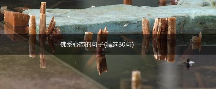 佛系心态的句子(精选30句),第1张