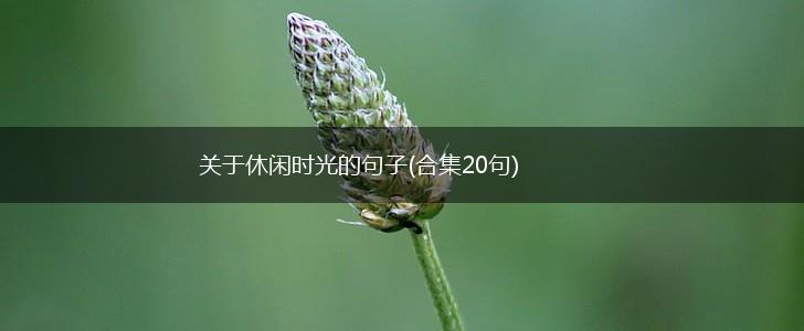 关于休闲时光的句子(合集20句),第1张