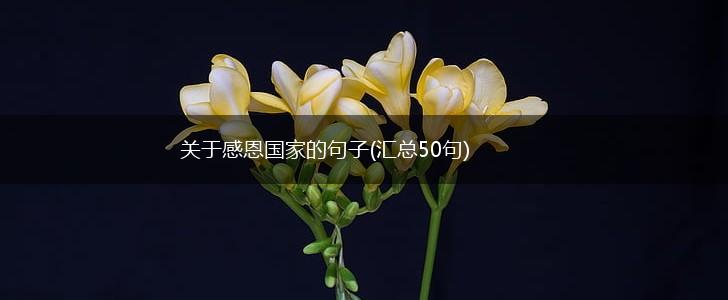 关于感恩国家的句子(汇总50句),第1张