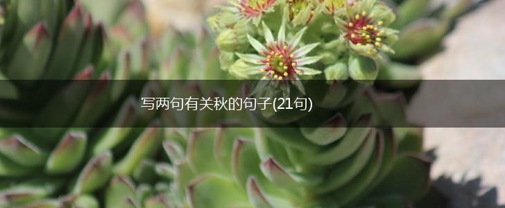写两句有关秋的句子(21句),第1张