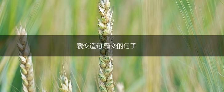 骤变造句,骤变的句子,第1张