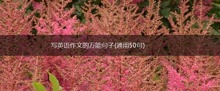写英语作文的万能句子(通用50句),第1张