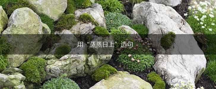 用“蒸蒸日上”造句,第1张