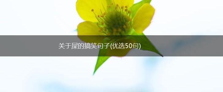 关于屎的搞笑句子(优选50句),第1张