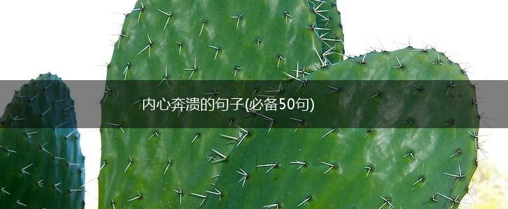 内心奔溃的句子(必备50句),第1张
