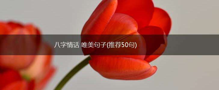 八字情话 唯美句子(推荐50句),第1张