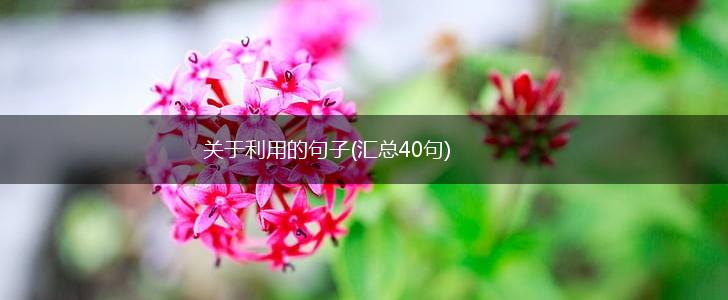 关于利用的句子(汇总40句),第1张
