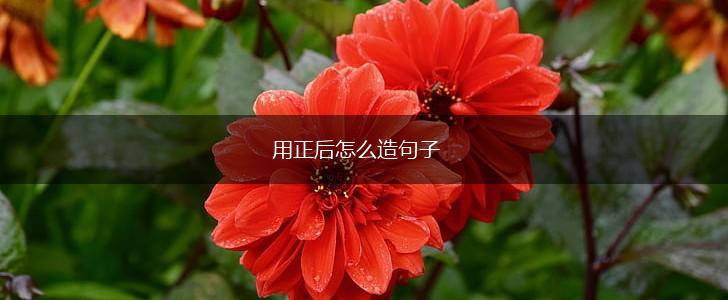用正后怎么造句子,第1张