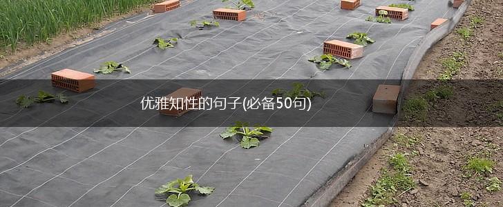 优雅知性的句子(必备50句),第1张