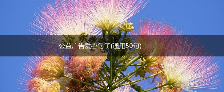 公益广告爱心句子(通用50句),第1张