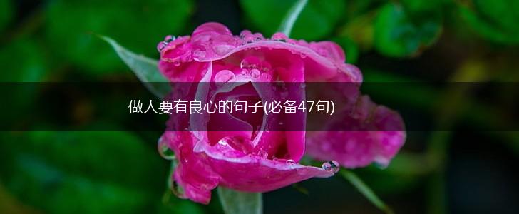 做人要有良心的句子(必备47句),第1张