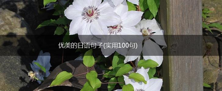 优美的日语句子(实用100句),第1张