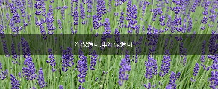 准保造句,用准保造句,第1张