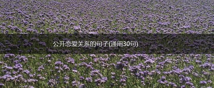 公开恋爱关系的句子(通用30句),第1张