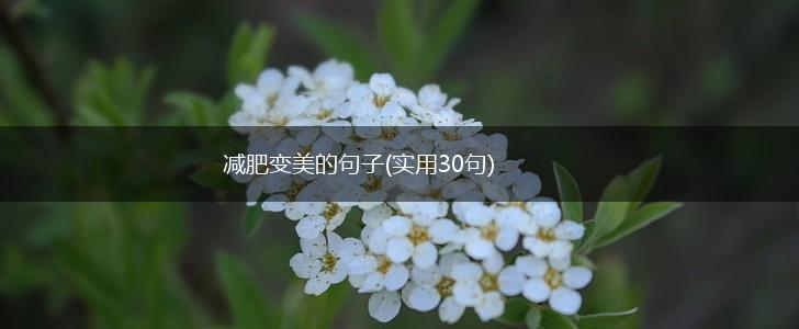 减肥变美的句子(实用30句),第1张