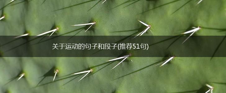关于运动的句子和段子(推荐51句),第1张