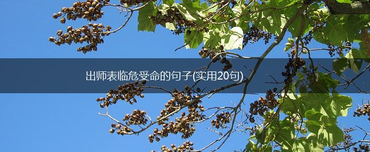 出师表临危受命的句子(实用20句),第1张