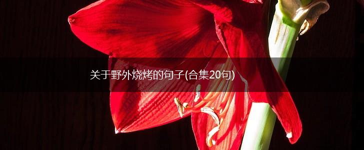 关于野外烧烤的句子(合集20句),第1张