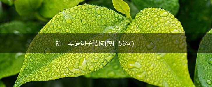 初一英语句子结构(热门56句),第1张