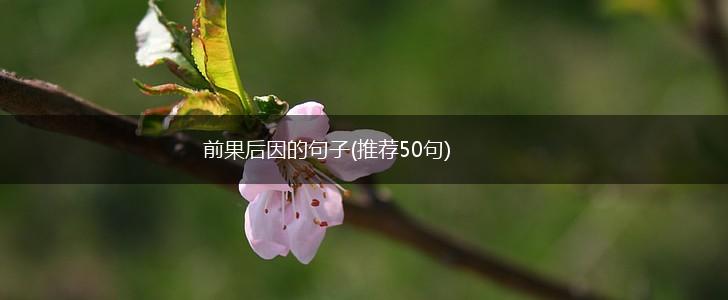 前果后因的句子(推荐50句),第1张